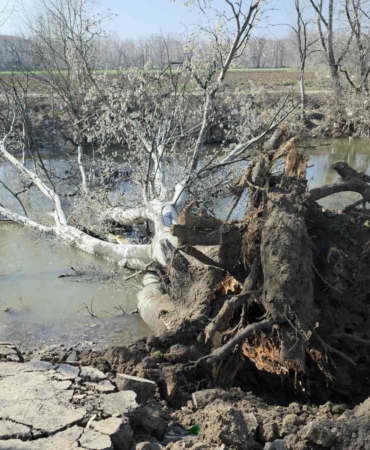 Tunca Nehri kıyısında toprak kayması: 9 yıl sonra gelen taşkınlar zemini etkiledi