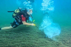 Garanti BBVA ve TURMEPA, deniz çayırlarının korunmasına yönelik çalışmalarını kamuoyuyla paylaştı