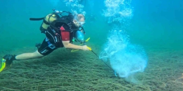 Garanti BBVA ve TURMEPA, deniz çayırlarının korunmasına yönelik çalışmalarını kamuoyuyla paylaştı