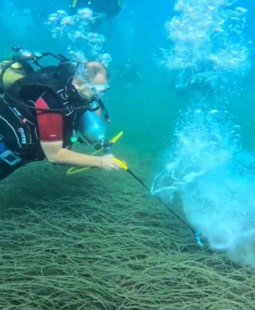 Garanti BBVA ve TURMEPA, deniz çayırlarının korunmasına yönelik çalışmalarını kamuoyuyla paylaştı