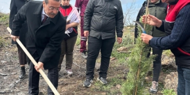 Burhaniye’de 315 fıstıkçamı fidanı toprakla buluşturuldu