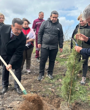 Burhaniye’de 315 fıstıkçamı fidanı toprakla buluşturuldu