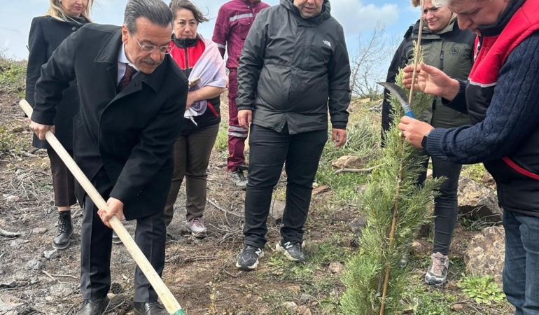 Burhaniye’de 315 fıstıkçamı fidanı toprakla buluşturuldu