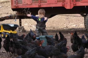 Kocaeli’de çiftçinin yüzünü güldüren destekler rakamlara yansıdı