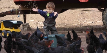 Kocaeli’de çiftçinin yüzünü güldüren destekler rakamlara yansıdı