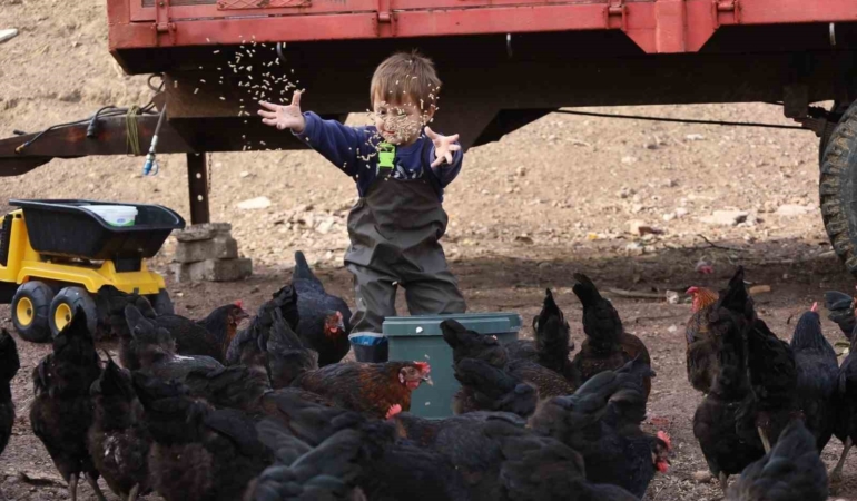 Kocaeli’de çiftçinin yüzünü güldüren destekler rakamlara yansıdı