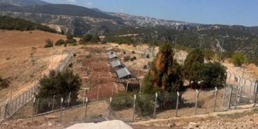 Milyonluk Sokak Hayvanları Doğal Yaşam Alanı ortada kaldı