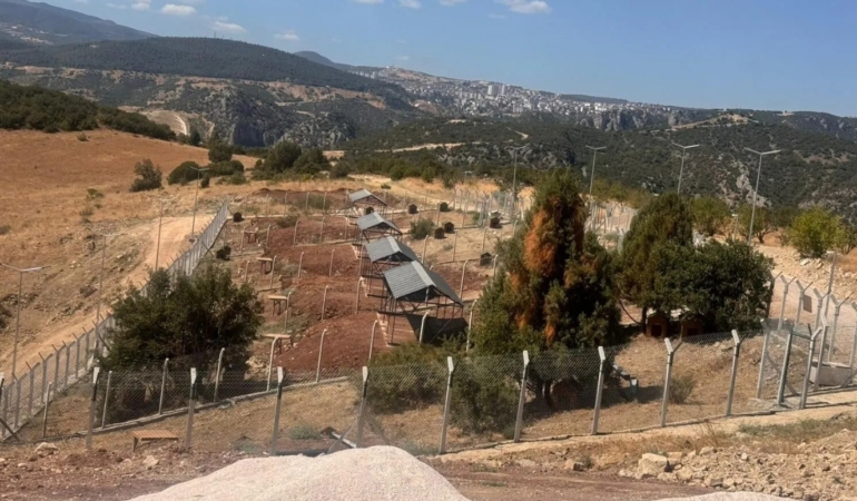 Milyonluk Sokak Hayvanları Doğal Yaşam Alanı ortada kaldı