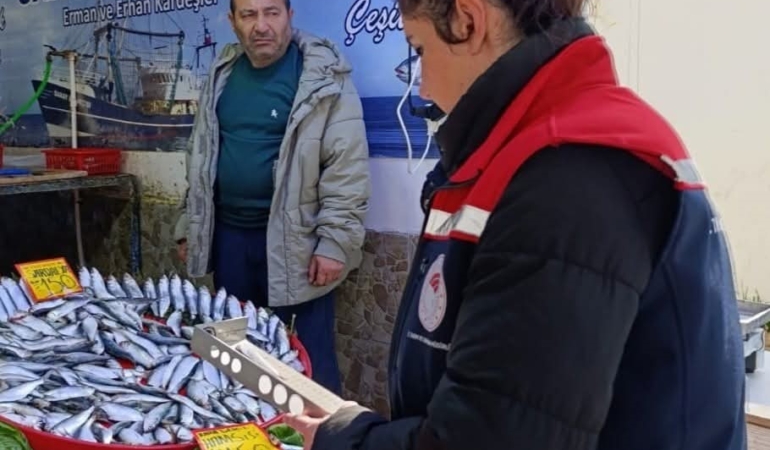 Tekirdağ’da su ürünleri denetimi aralıksız sürüyor