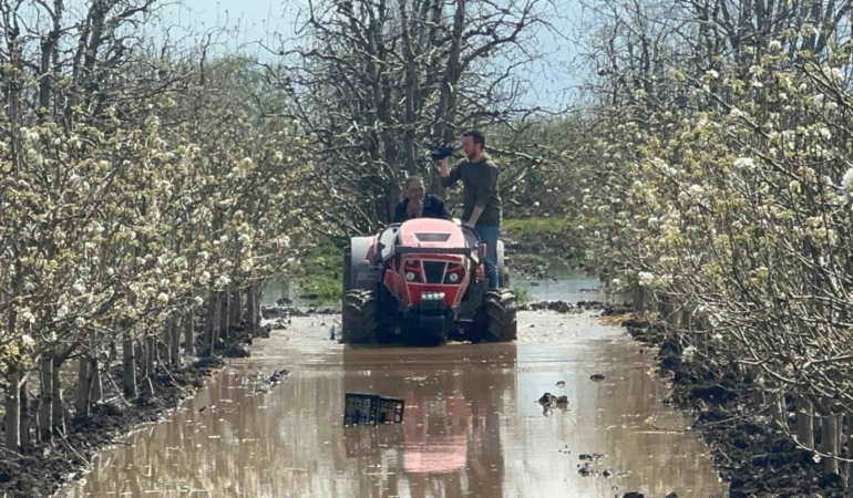 Bursa’da yüzlerce dönüm şeftali ve armut bahçesi su altında