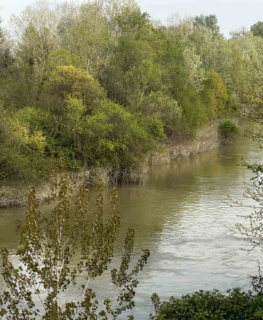 Sakarya Nehri’ne düşen çocuk didik didik aranıyor