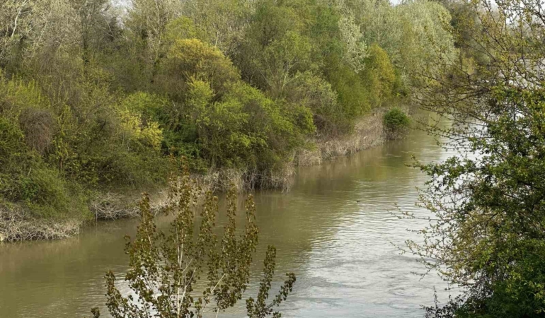 Sakarya Nehri’ne düşen çocuk didik didik aranıyor
