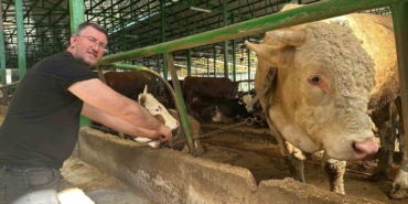 Bursa’da kurban hareketliliği: Tonluk boğayı 400 bin liraya sattı