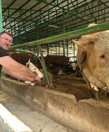 Bursa’da kurban hareketliliği: Tonluk boğayı 400 bin liraya sattı