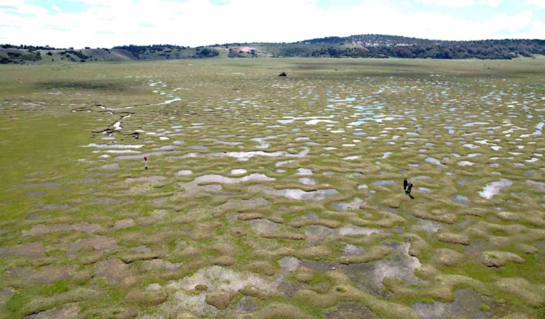 Doğanın sanata dönüştüğü nokta: Menderesler göz kamaştırdı