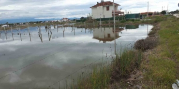 Balıkesir’de nisan yağmurları zeytincileri sevindirdi