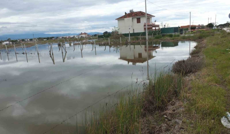 Balıkesir’de nisan yağmurları zeytincileri sevindirdi