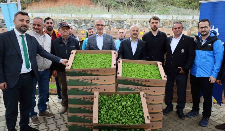 İşlenmeyen araziler üretime dönüyor: Çiftçilere yüzde 75 hibeli fide desteği