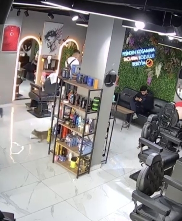 Sultangazi’de kuaförde ilginç anlar kamerada: Kedi müşterileri kovaladı