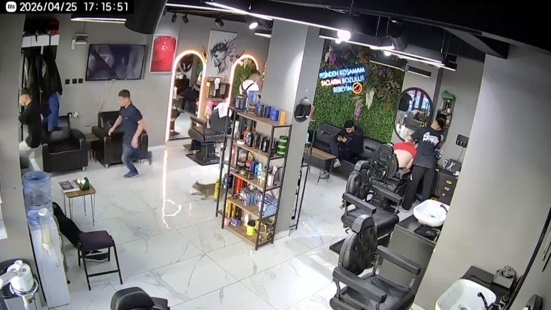 Sultangazi’de kuaförde ilginç anlar kamerada: Kedi müşterileri kovaladı