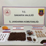 Sakarya’da jandarmadan zehir tacirlerine geçit yok: 2 tutuklama