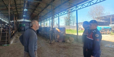 Bilecik’te 120 vatandaşa hayvan hırsızlığı ve dolandırıcılık bilgilendirmesi