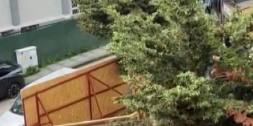 Üsküdar Belediyesi’nin ruhsat verdiği inşaat alanında ağaçlar kesildi