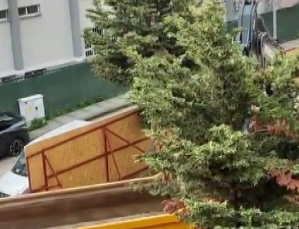 Üsküdar Belediyesi’nin ruhsat verdiği inşaat alanında ağaçlar kesildi