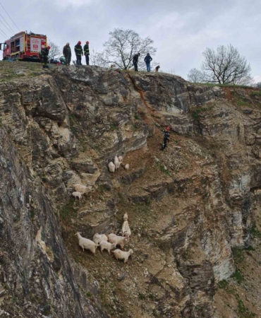 Kayalıklardaki sürüye cansiparane kurtarma