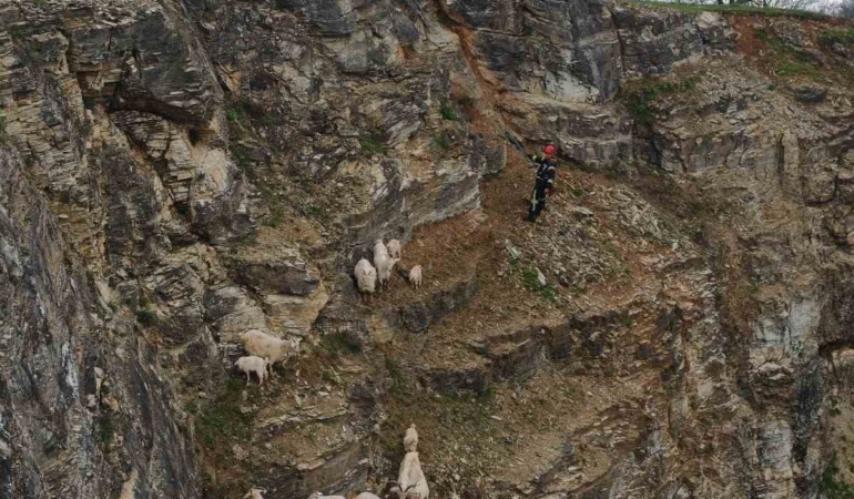 Kayalıklardaki sürüye cansiparane kurtarma