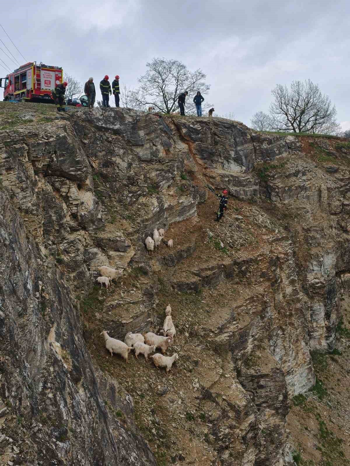 Kayalıklardaki sürüye cansiparane kurtarma