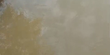 Bursa’da deredeki su samuru şaşırttı