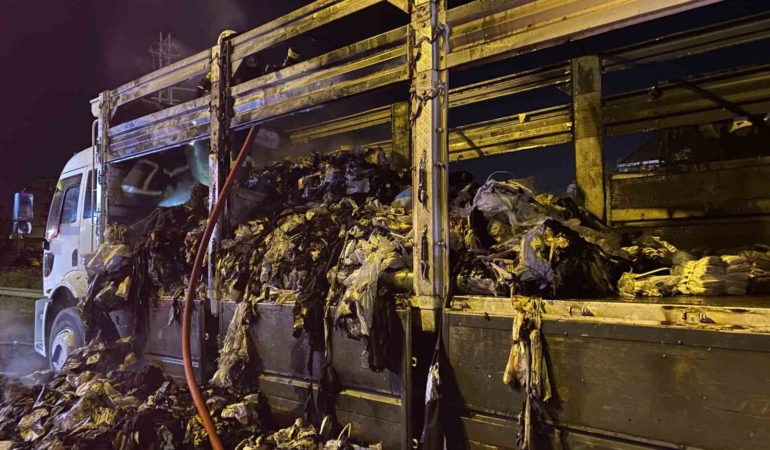 TEM otoyolunda tekstil yüklü kamyon alev aldı