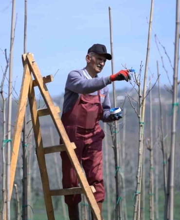 Kestel’de bahar mesaisi