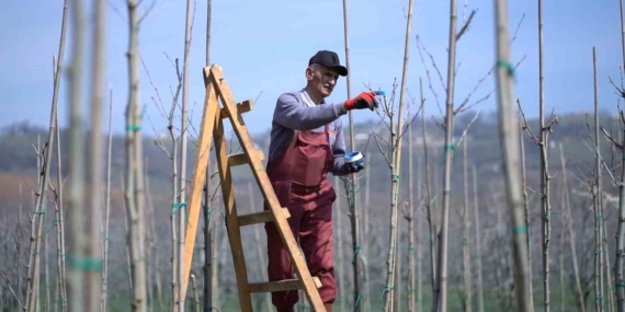 Kestel’de bahar mesaisi