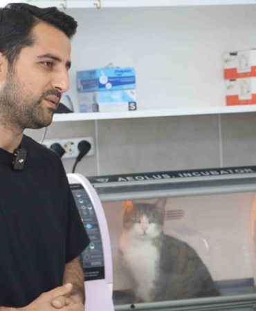 Kral ölümden döndü, zorlu ameliyat başarıyla tamamlandı