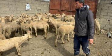 Kurbanlık parasıyla evlenmişti şimdi doğacak bebeği için kullanacak