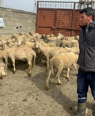 Kurbanlık parasıyla evlenmişti şimdi doğacak bebeği için kullanacak