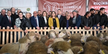 Tekirdağ’da küçükbaş hayvancılık festivali