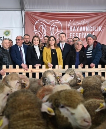 Tekirdağ’da küçükbaş hayvancılık festivali
