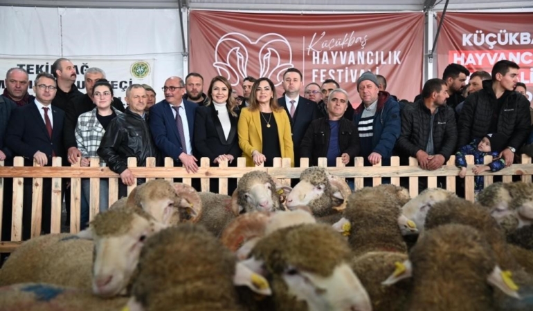 Tekirdağ’da küçükbaş hayvancılık festivali