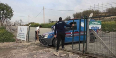 Yalova’daki barınakta köpek ölümleriyle ilgili soruşturma