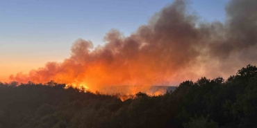 Beykoz’da 3 hektarlık alan küle döndü: Yangına müdahale devam ediyor