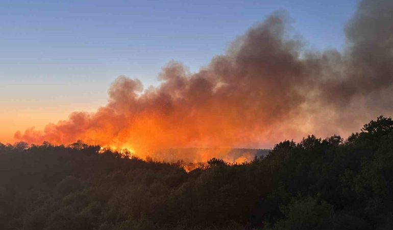 Beykoz’da 3 hektarlık alan küle döndü: Yangına müdahale devam ediyor