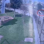 Dereye uçan kamyonetin sürücüsüne dakikalarca kalp masajı yapıldı
