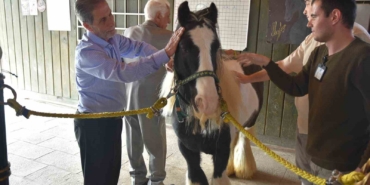Pendik’te atlarla şifa: Yaşlılar için atla terapi dönemi başladı
