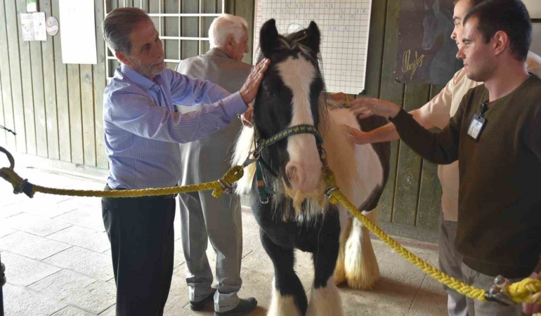 Pendik’te atlarla şifa: Yaşlılar için atla terapi dönemi başladı
