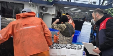 Kırklareli’nde hamsi avcılığına sıkı denetim: 15 milyon 270 bin 699 kilogram hamsi karaya çıkarıldı