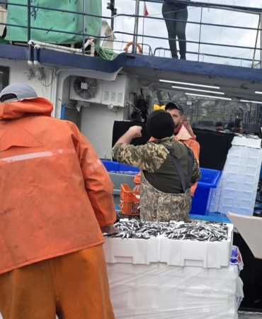 Kırklareli’nde hamsi avcılığına sıkı denetim: 15 milyon 270 bin 699 kilogram hamsi karaya çıkarıldı