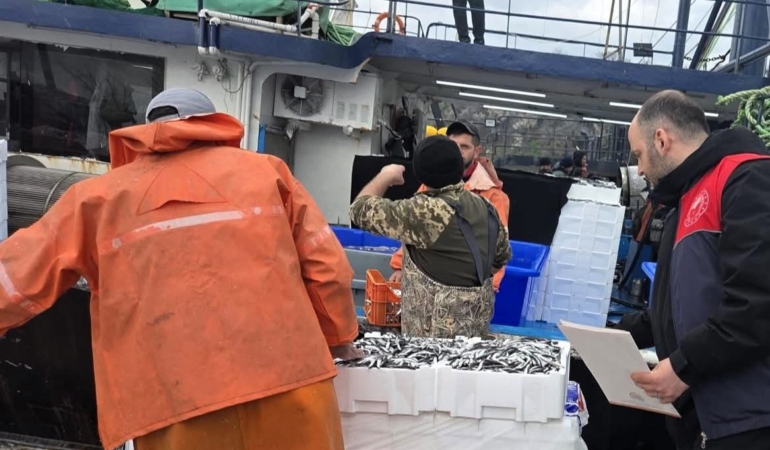 Kırklareli’nde hamsi avcılığına sıkı denetim: 15 milyon 270 bin 699 kilogram hamsi karaya çıkarıldı